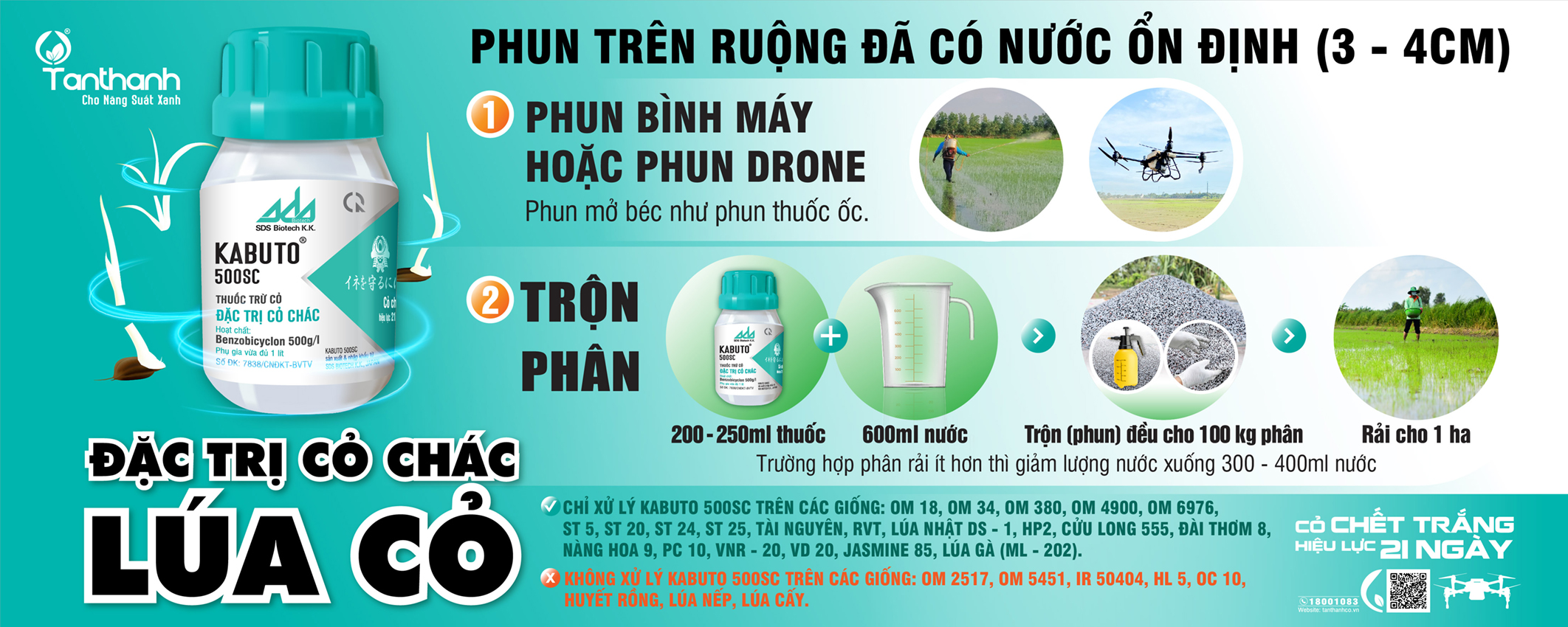 Hướng dẫn phòng trừ lúa cỏ đúng cách