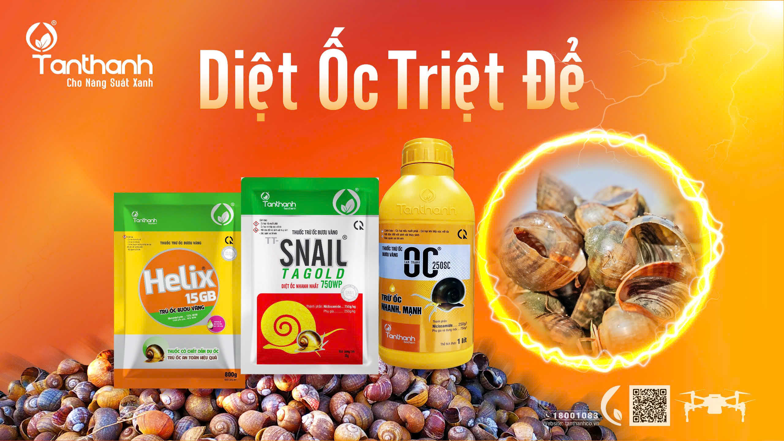 Vững vàng đầu vụ khi quản lý tốt ốc bươu vàng Vững vàng đầu vụ khi quản lý tốt ốc bươu vàng