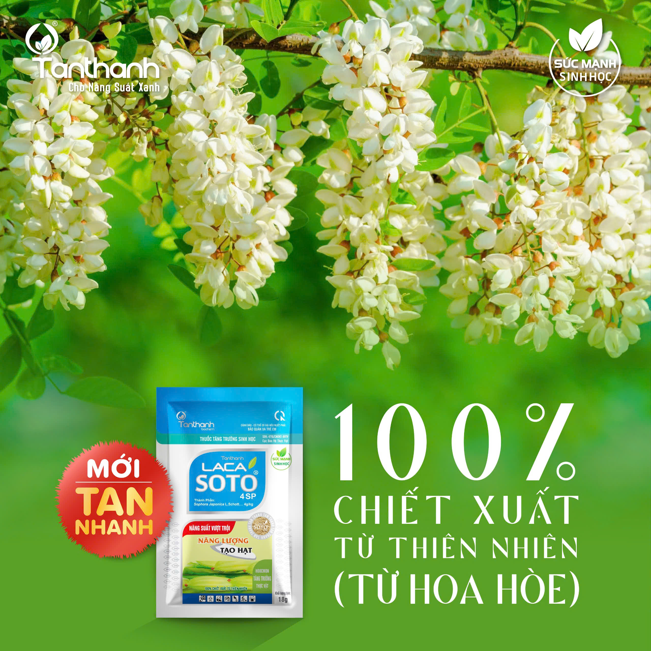 5 lý do giúp Lacasoto 4SP trở thành ưu tiên hàng đầu của cữ vô gạo 5 lý do giúp Lacasoto 4SP trở thành ưu tiên hàng đầu của cữ vô gạo