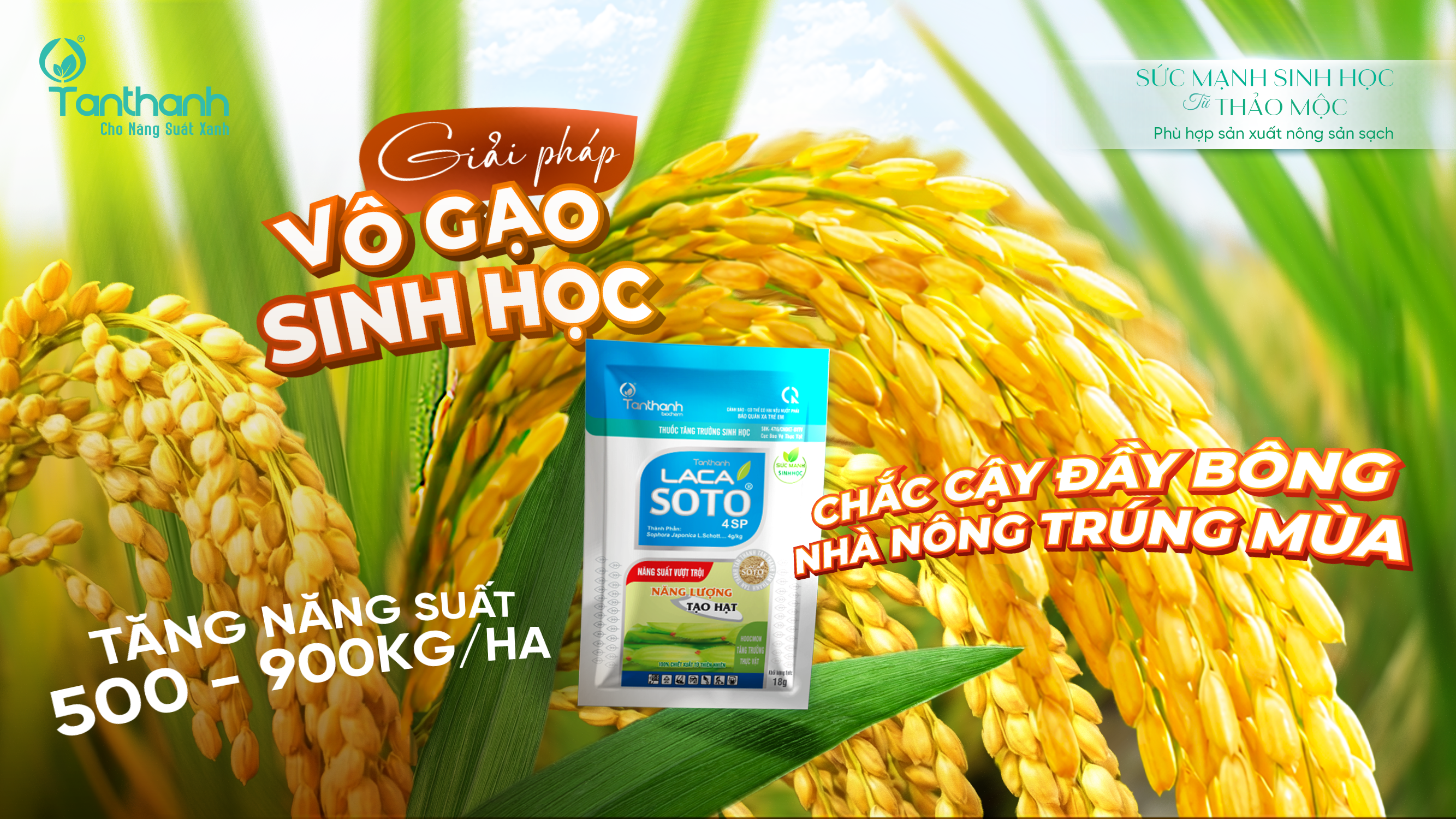 TÂN THÀNH - VỮNG BƯỚC TRÊN HÀNH TRÌNH NÔNG NGHIỆP XANH